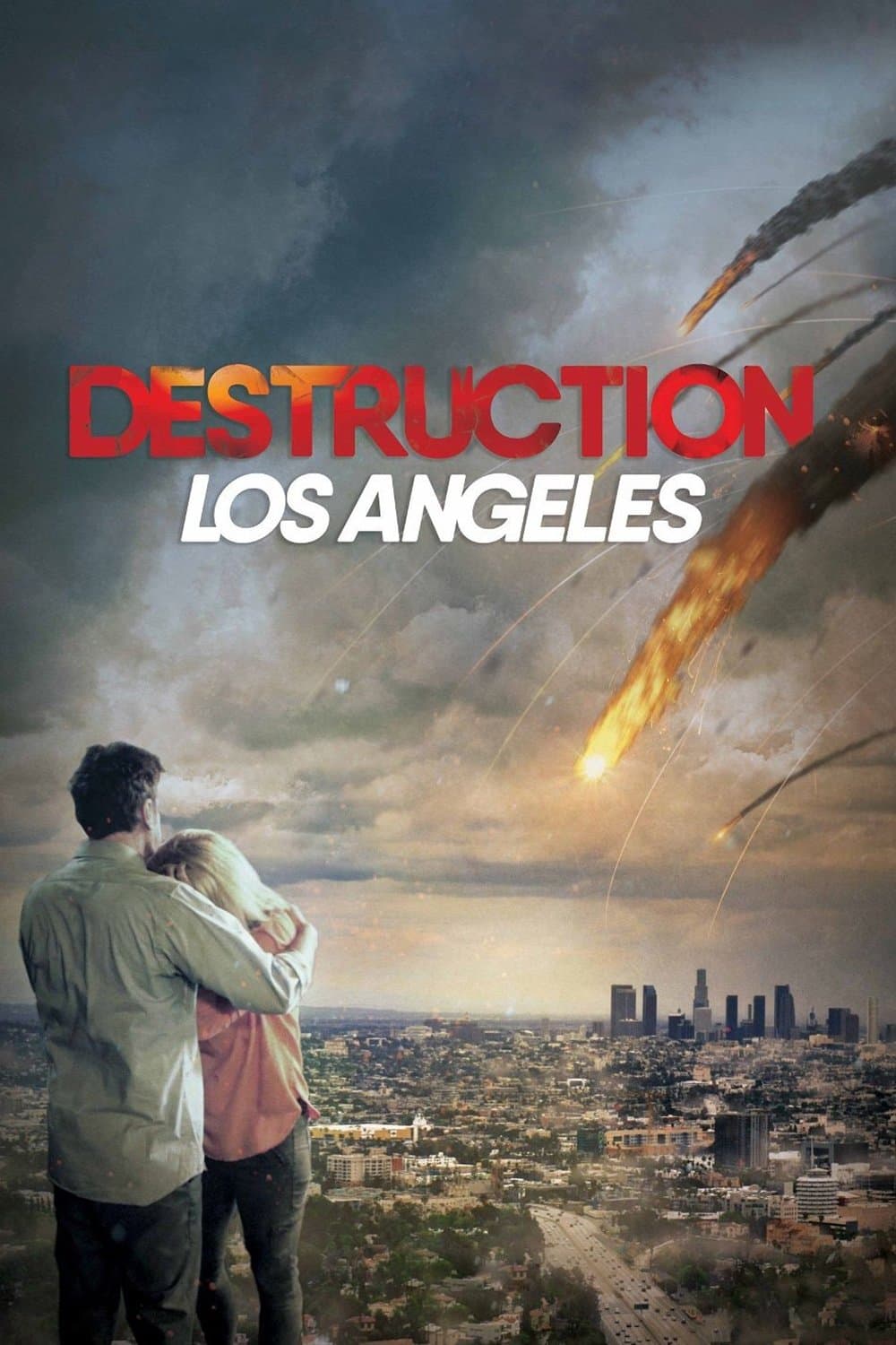 Poster Destruction: Los Angeles