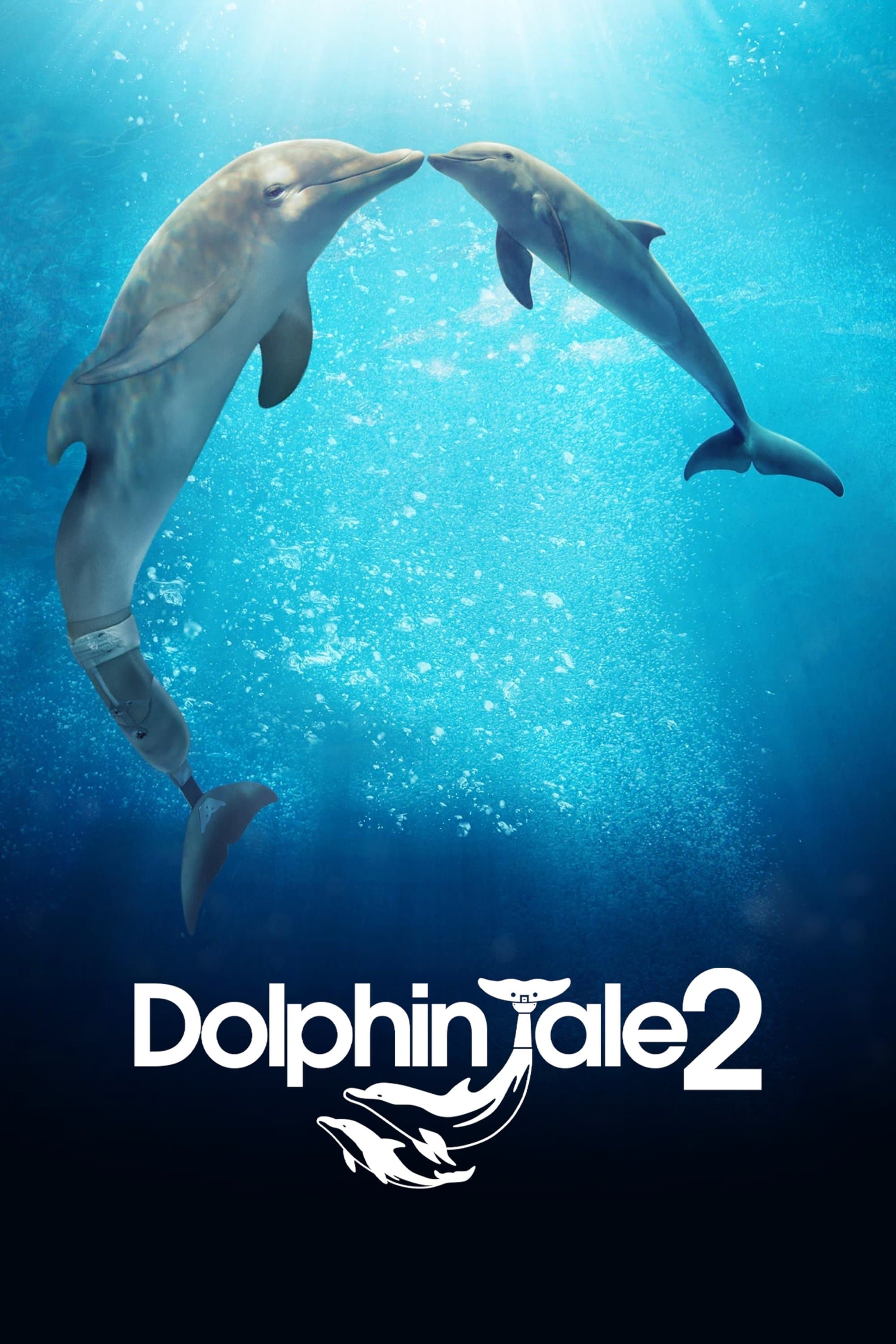 Poster Dolphin Tale 2