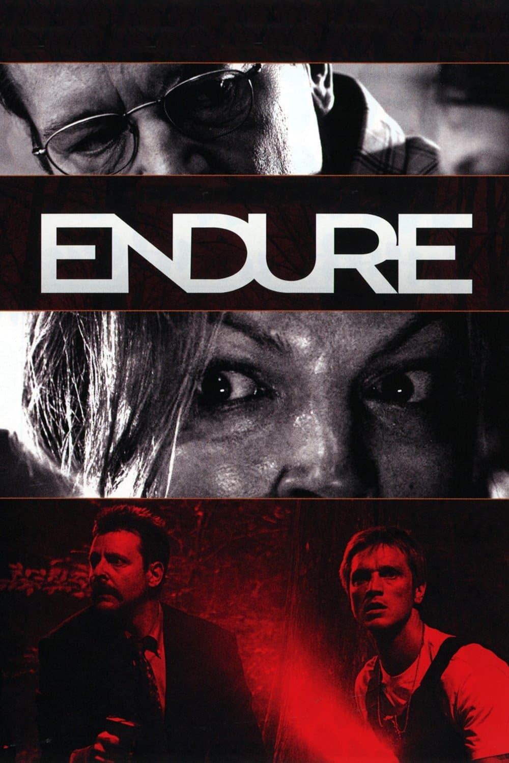 Poster Endure