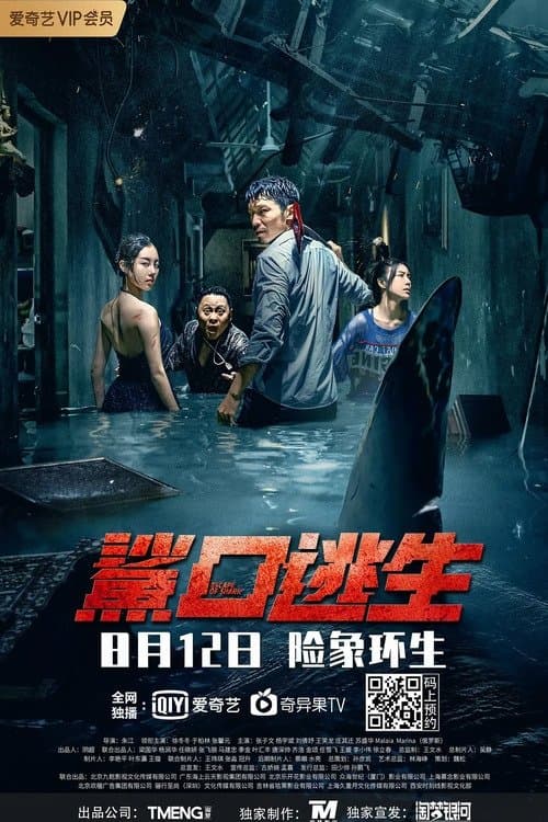 Poster Escape of Shark