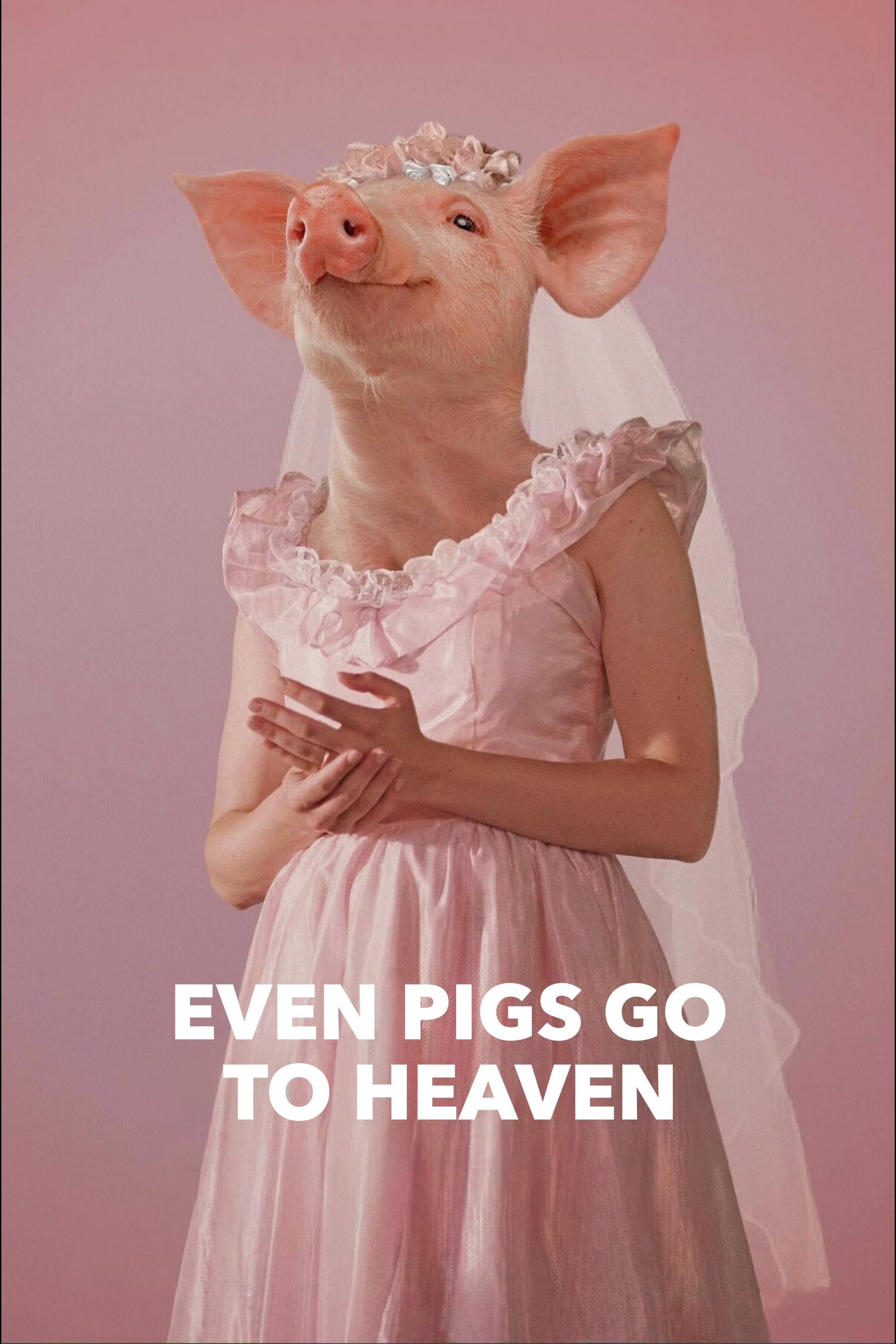 Poster Even Pigs Go to Heaven
