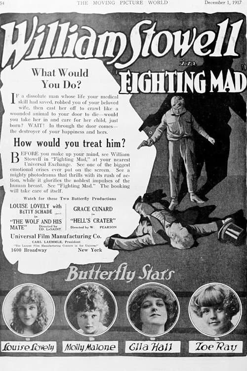 Poster Fighting Mad