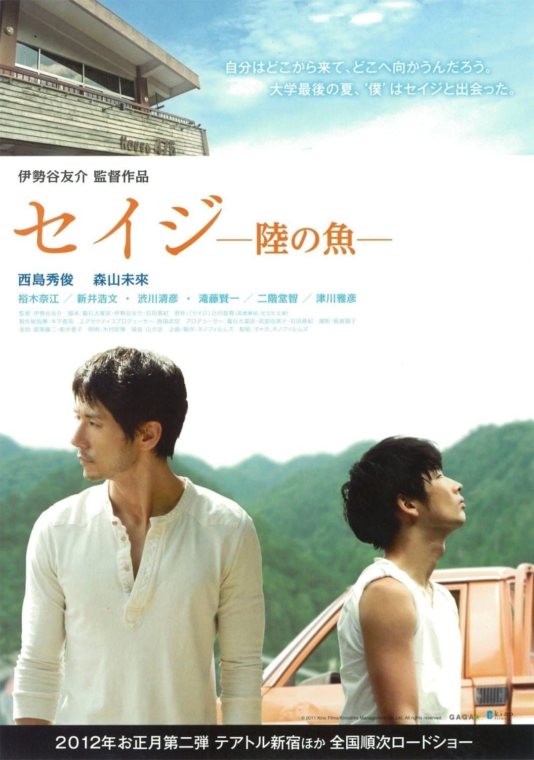 Poster Fish on Land