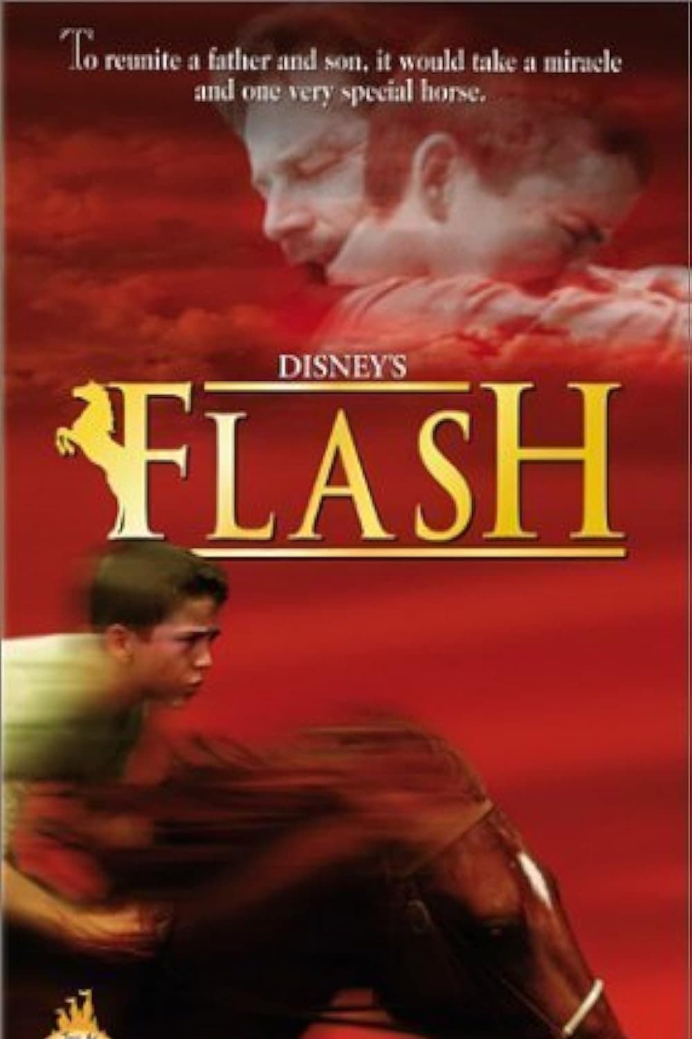 Poster Flash