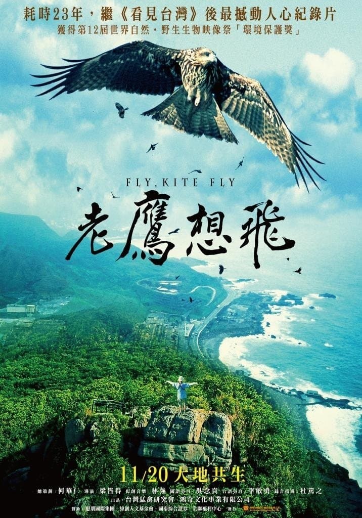 Poster Fly, Kite Fly