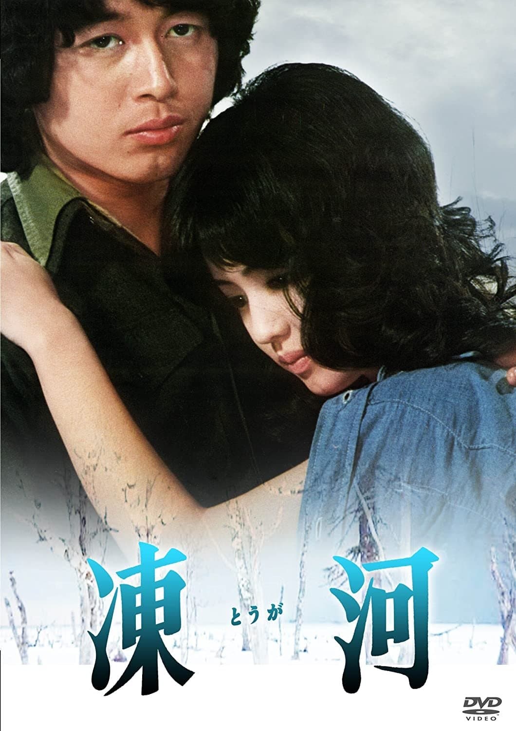 Poster Frozen River