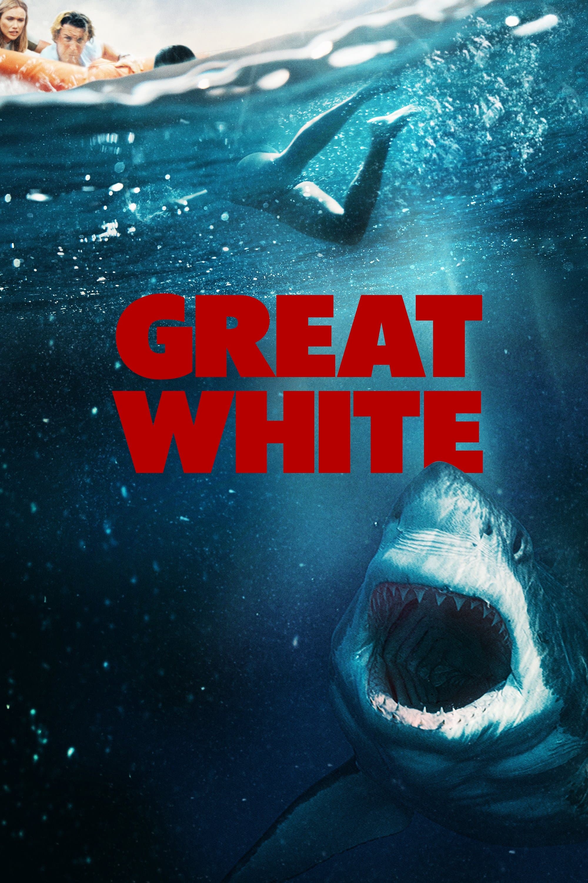 Poster Great White