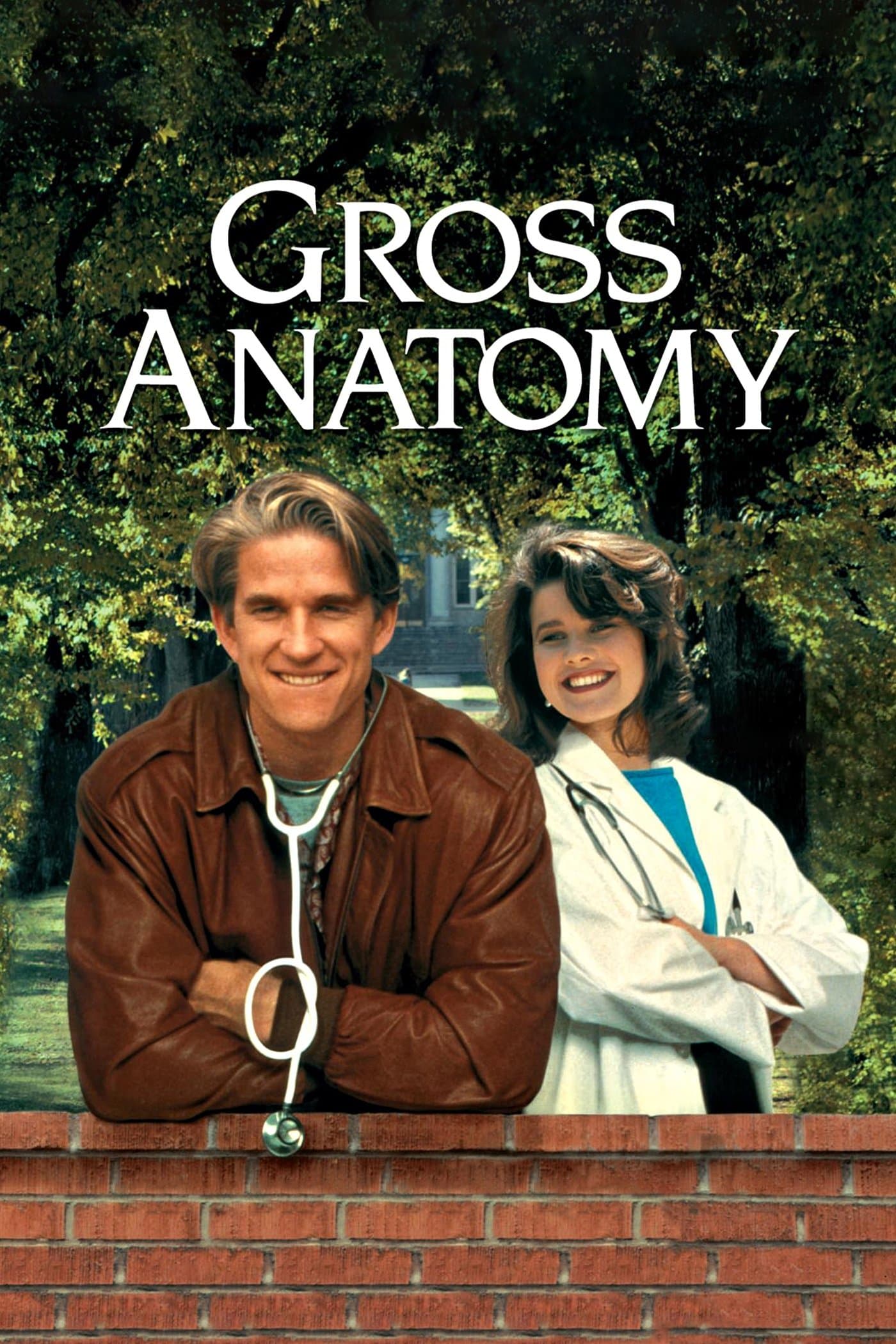 Poster Gross Anatomy