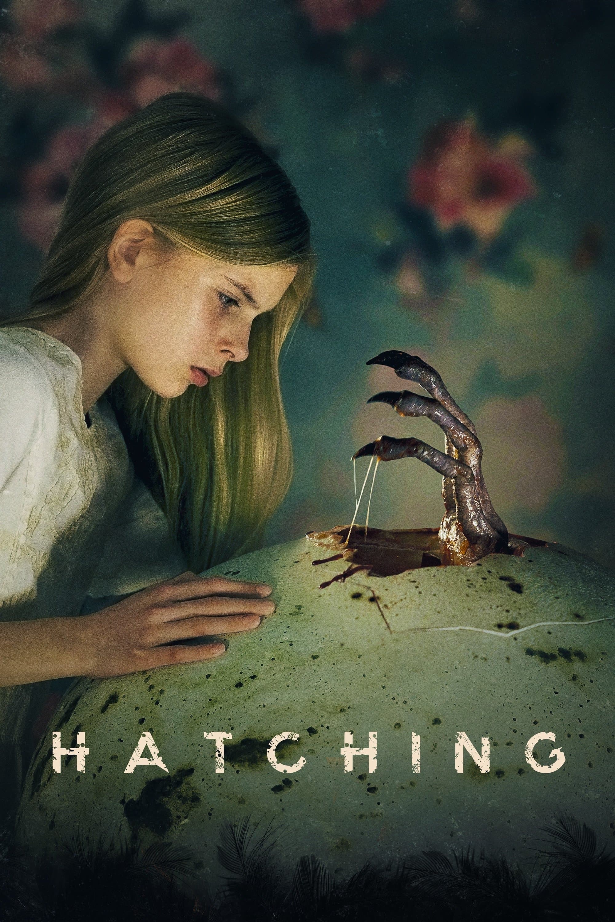 Poster Hatching