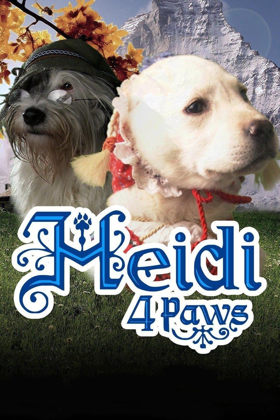 Poster Heidi 4 Paws