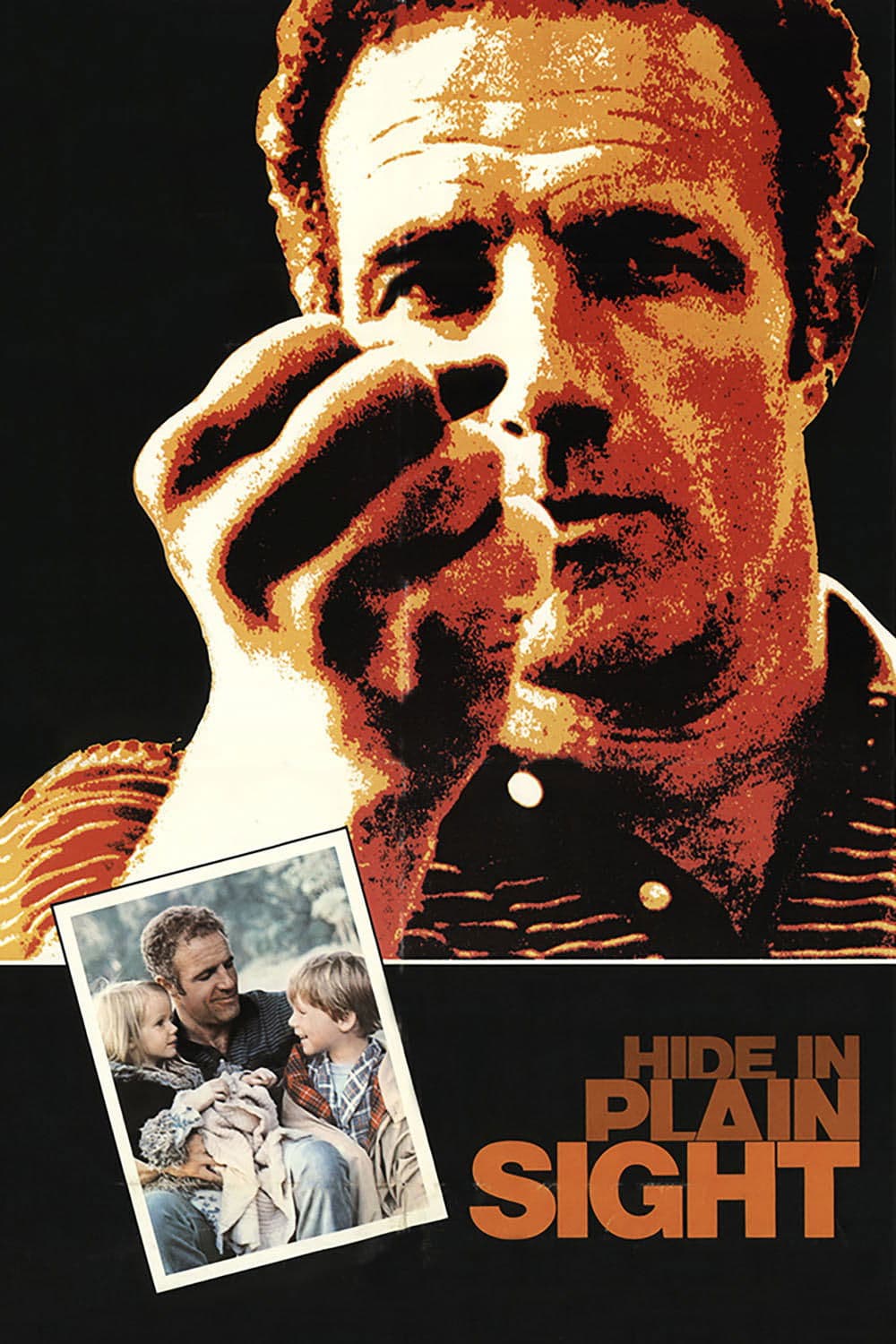 Poster Hide in Plain Sight