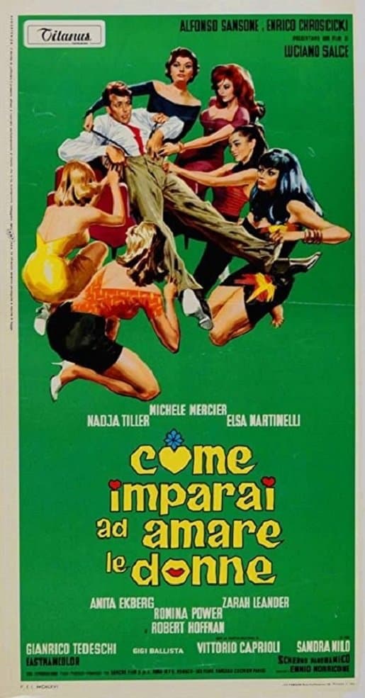 Poster How I Learned to Love Women