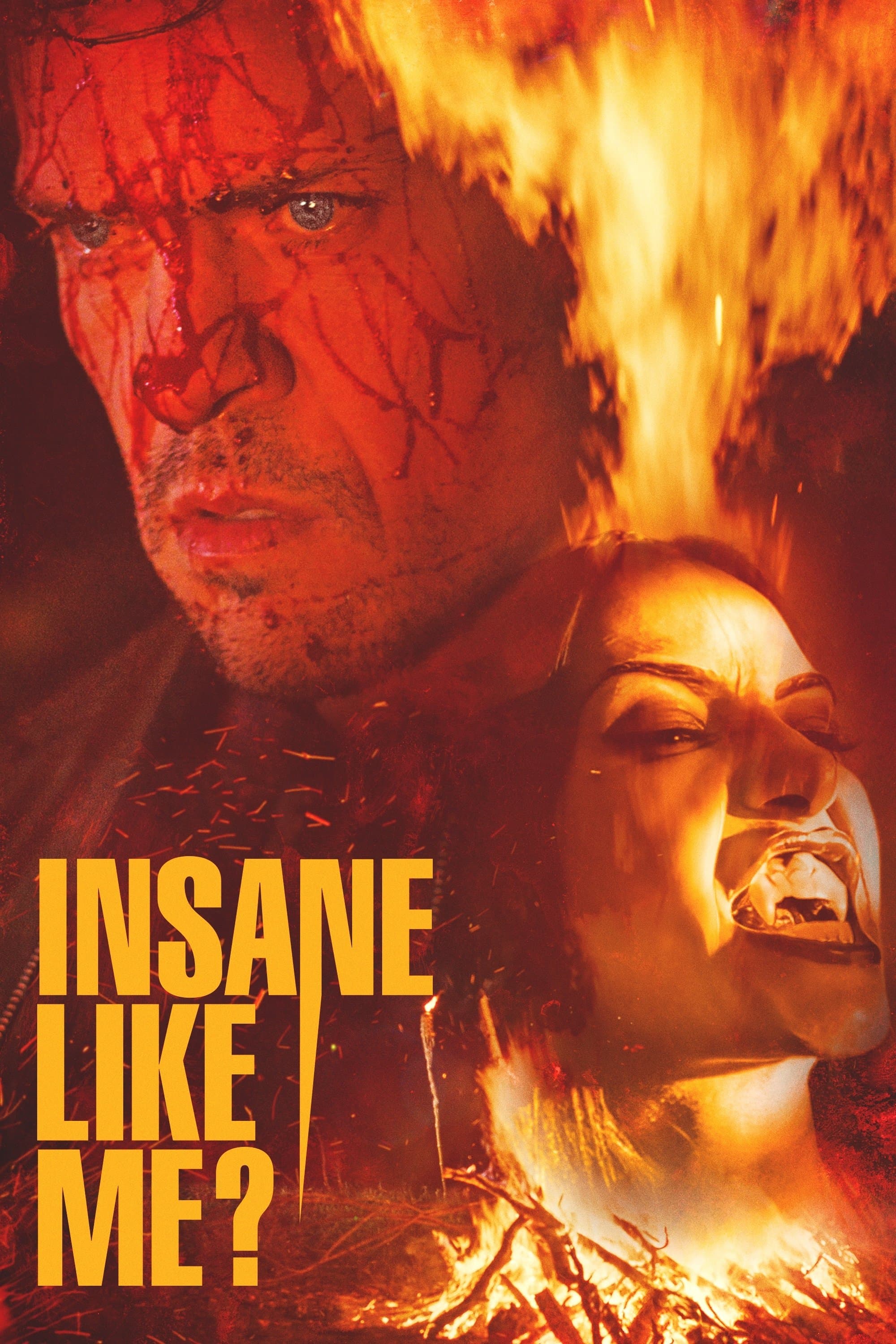Poster Insane Like Me?