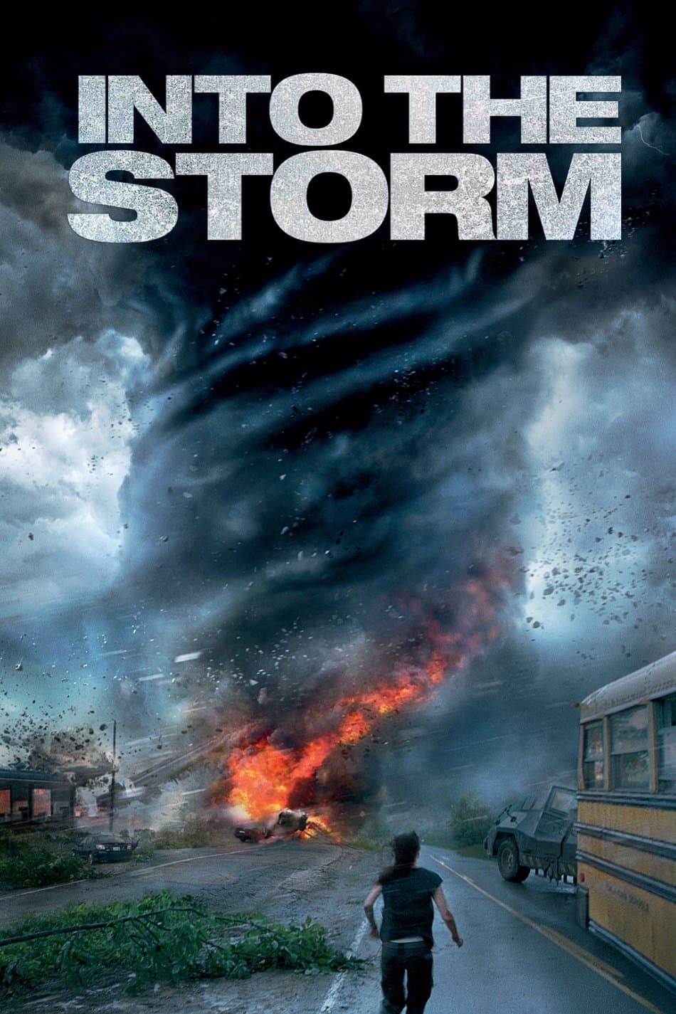 Poster Into the Storm