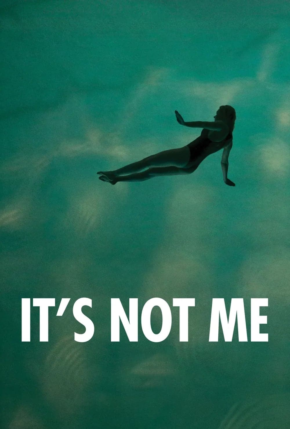 Poster It's Not Me