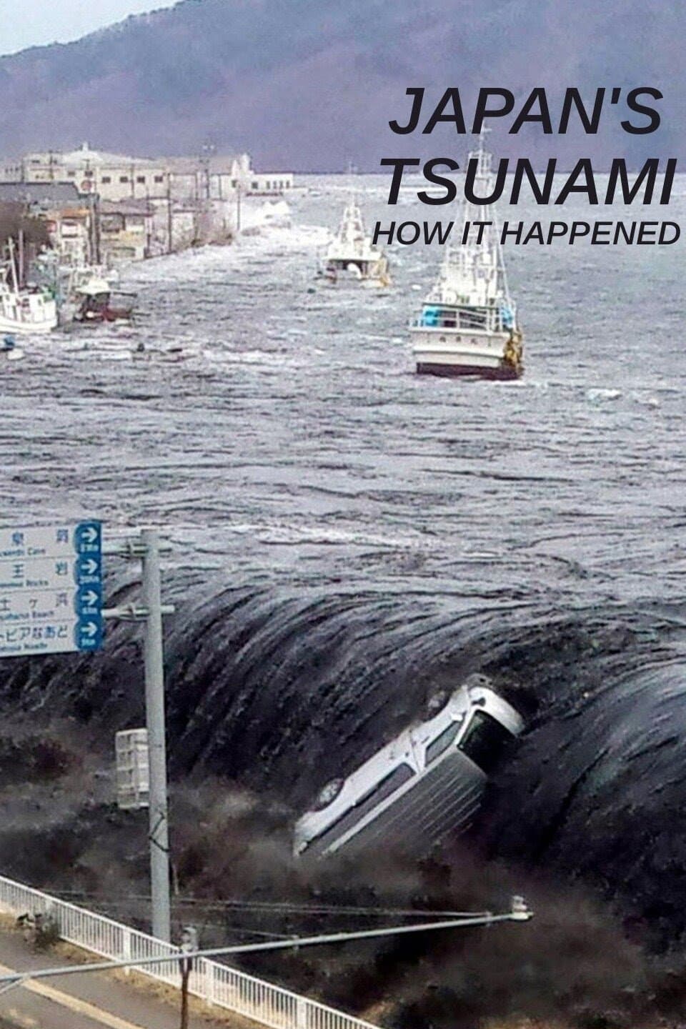 Poster Japan's Tsunami: How It Happened