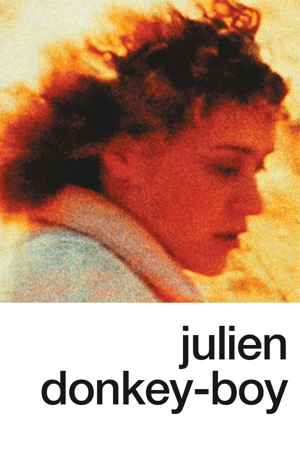 Poster Julien Donkey-Boy