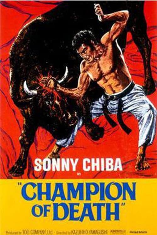 Poster Karate Bullfighter