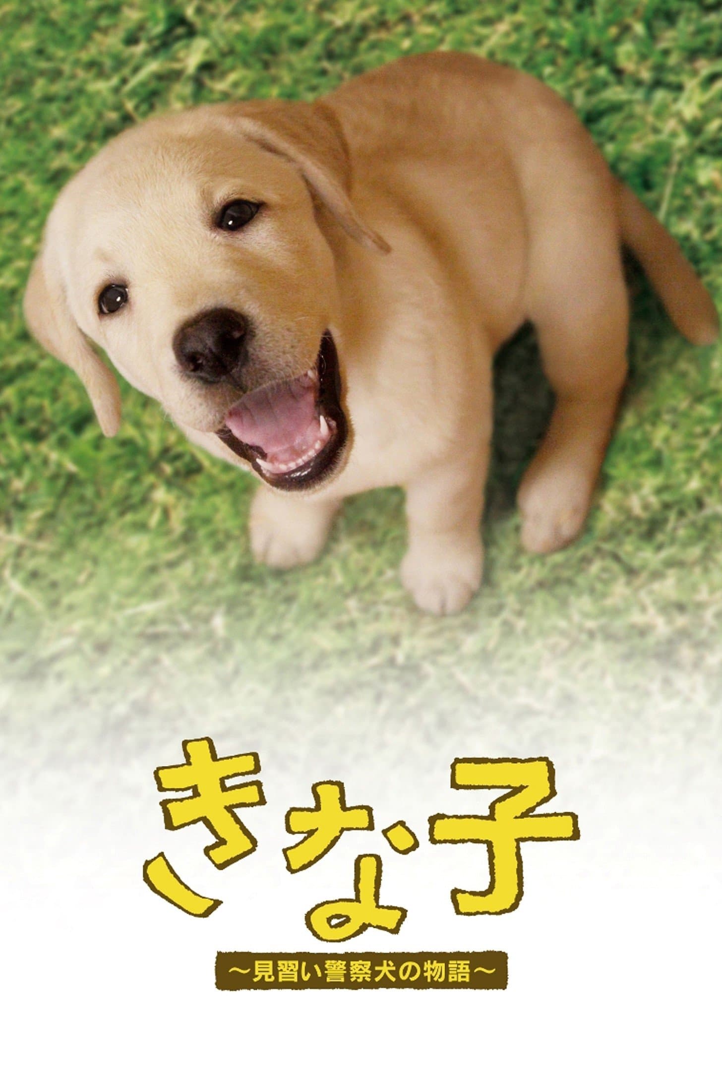 Poster Kinako - The Story of an Apprentice Police Dog