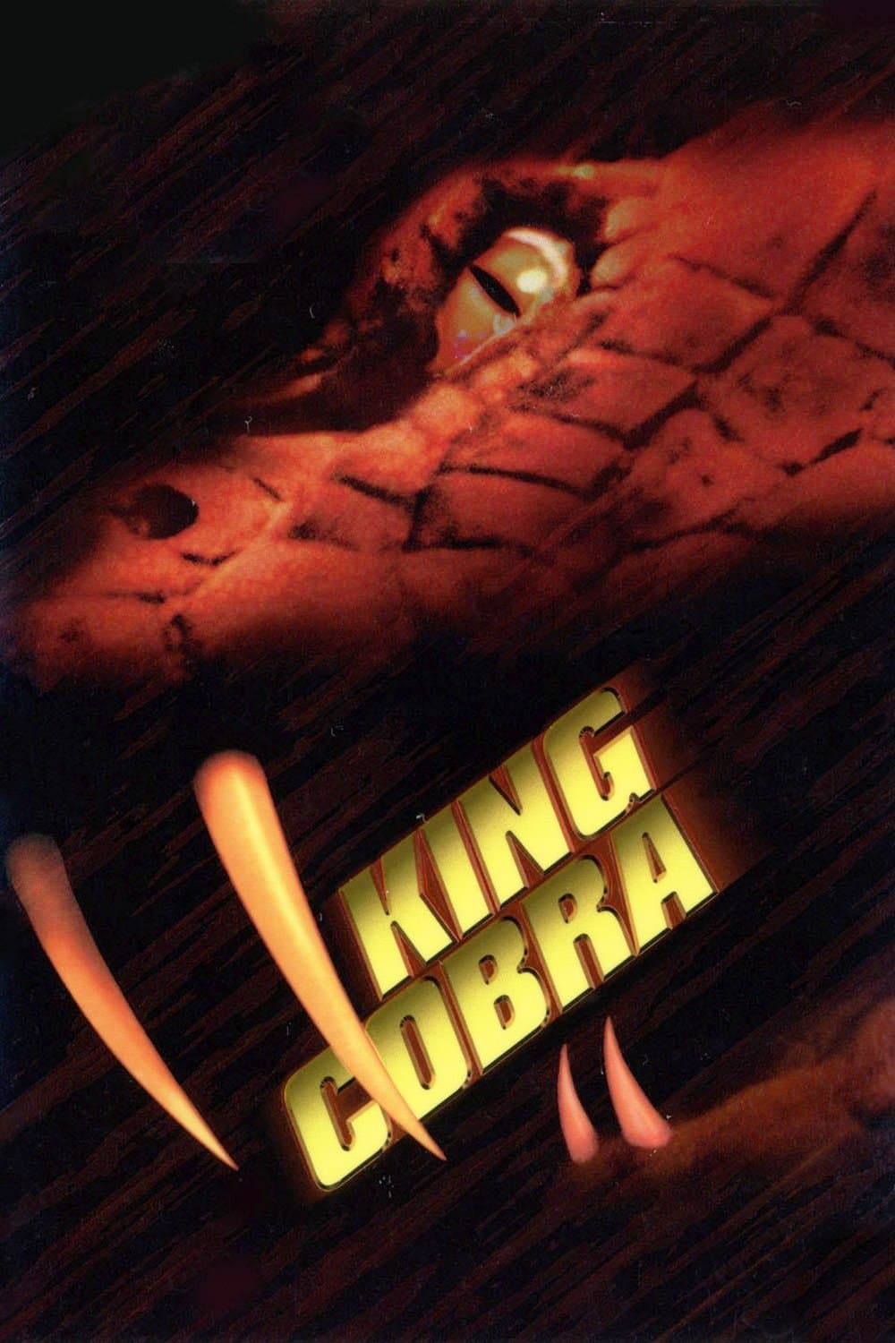 Poster King Cobra