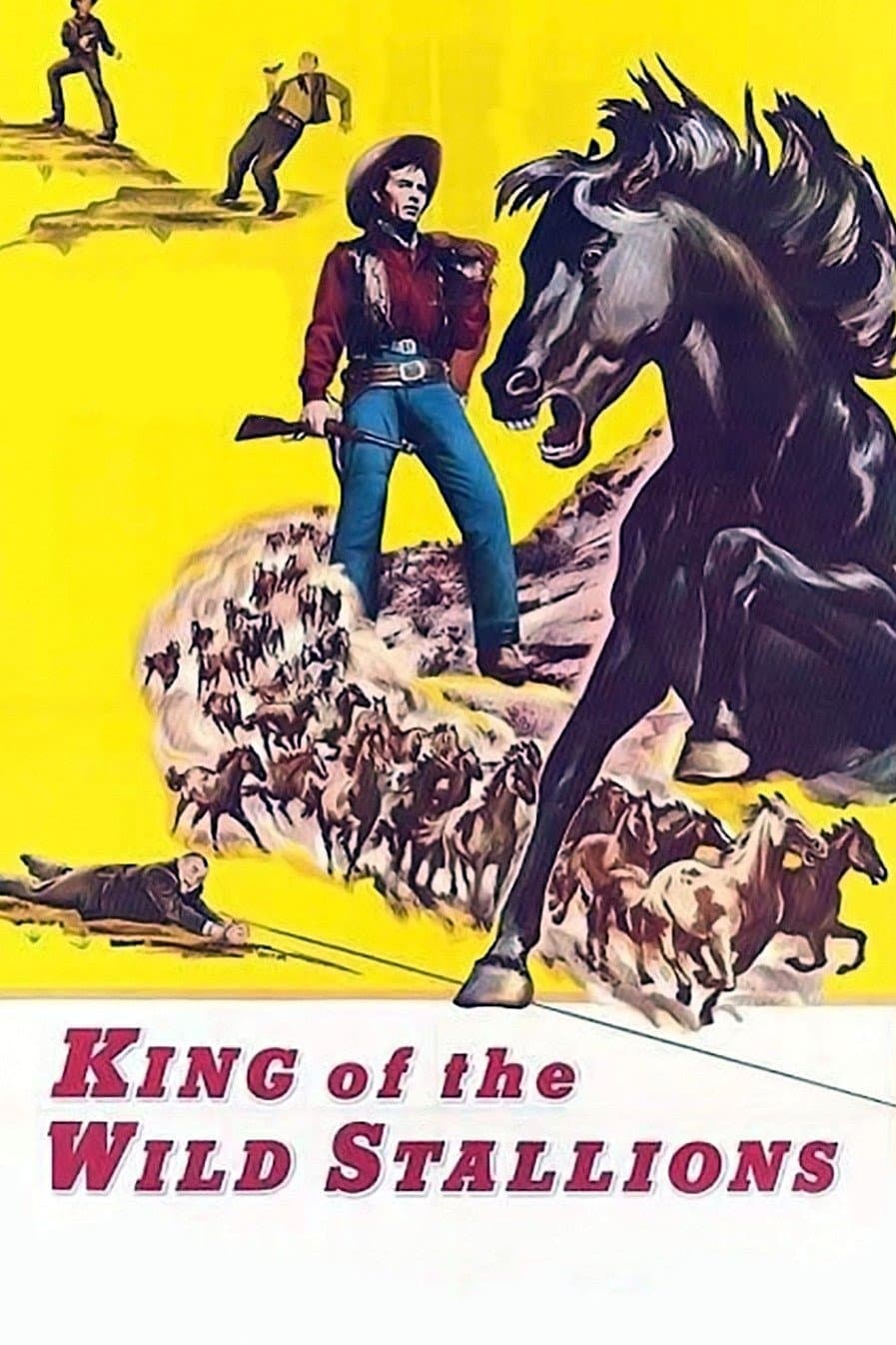 Poster King of the Wild Stallions