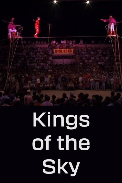 Poster Kings of the Sky