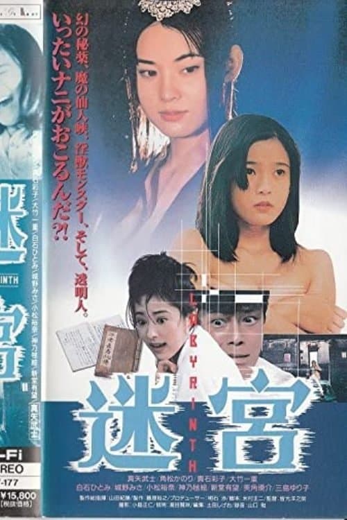 Poster Labyrinth