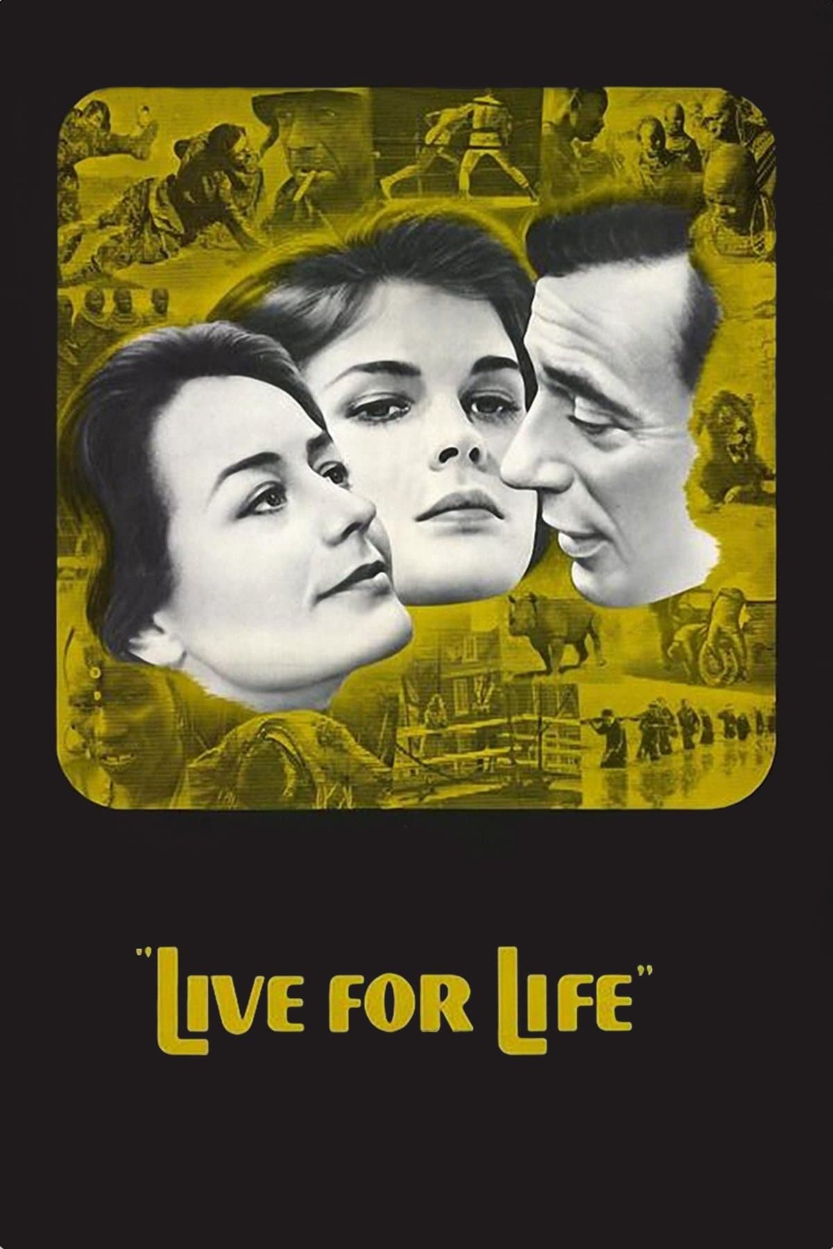 Poster Live for Life