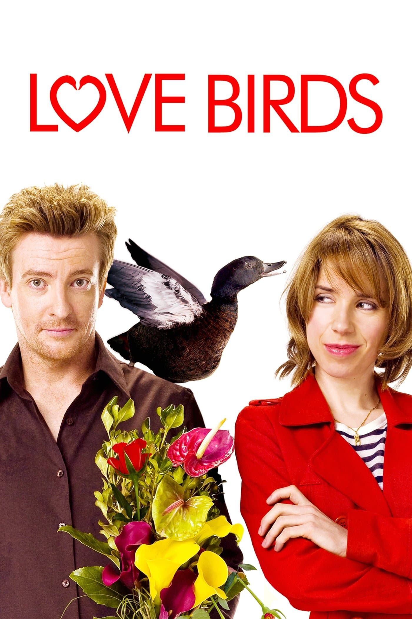 Poster Love Birds