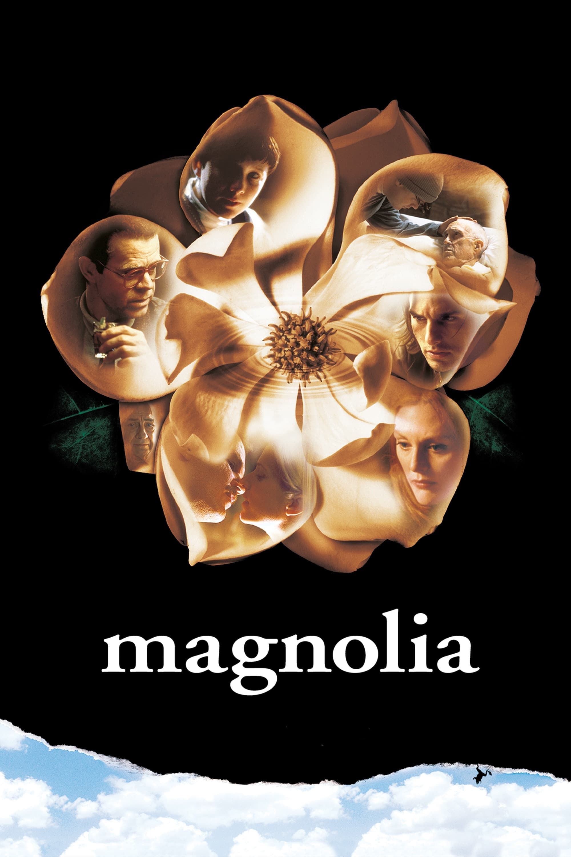 Poster Magnolia