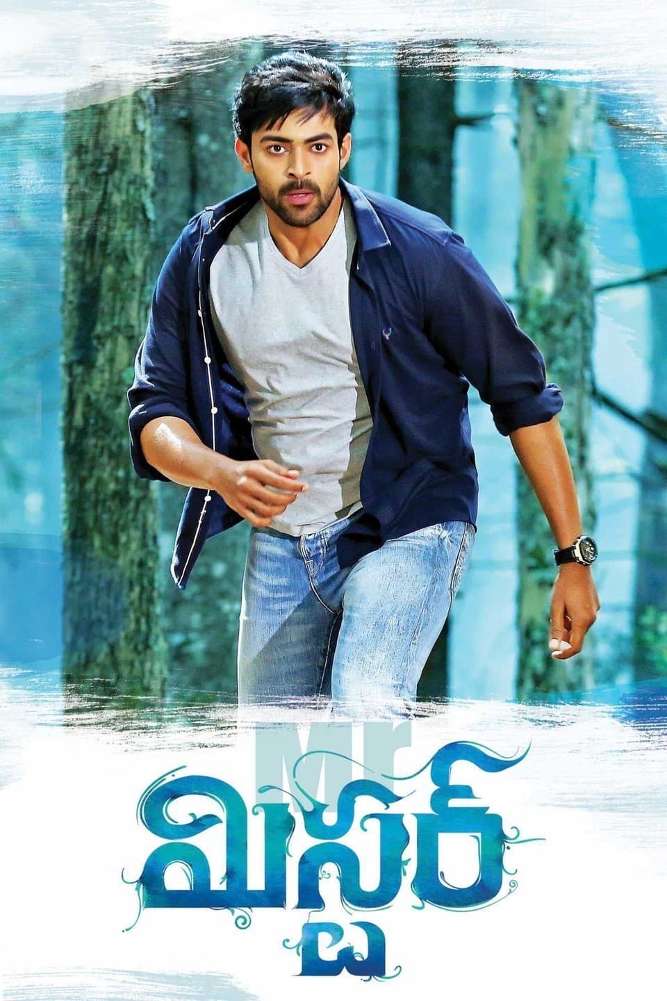 Poster Mister