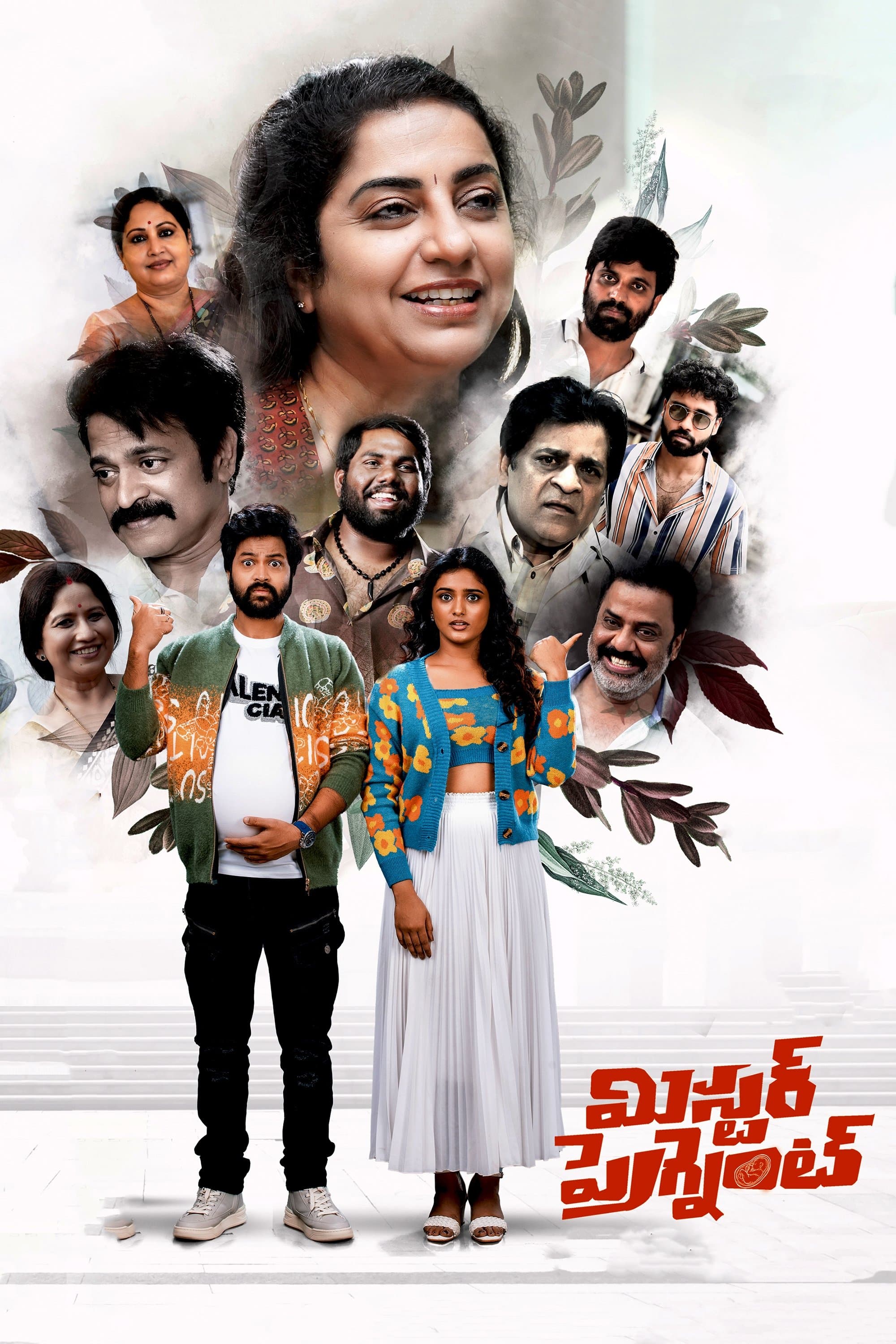 Poster Mr. Pregnant