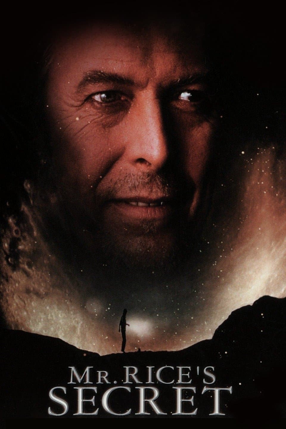Poster Mr. Rice's Secret