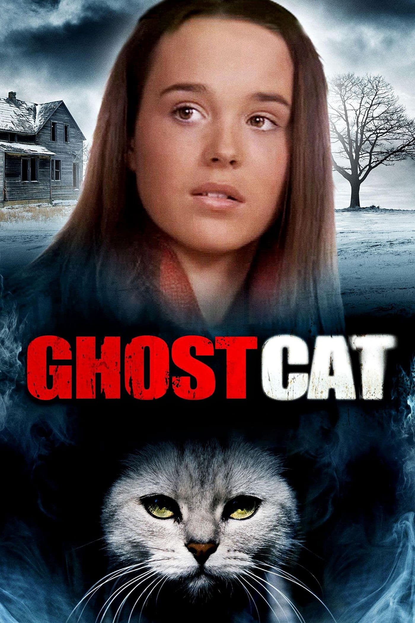 Poster Mrs. Ashboro's Cat