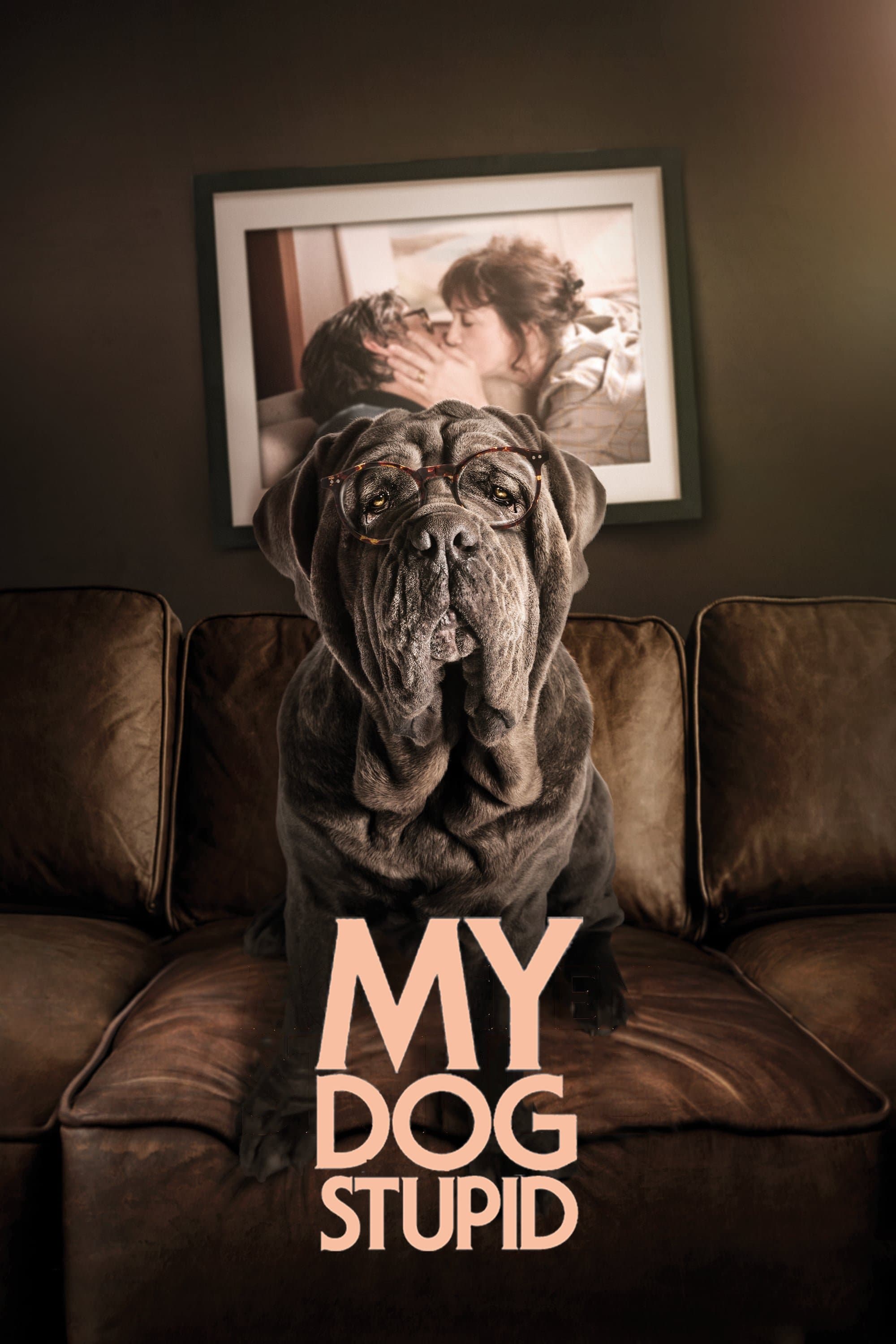 Poster My Dog Stupid