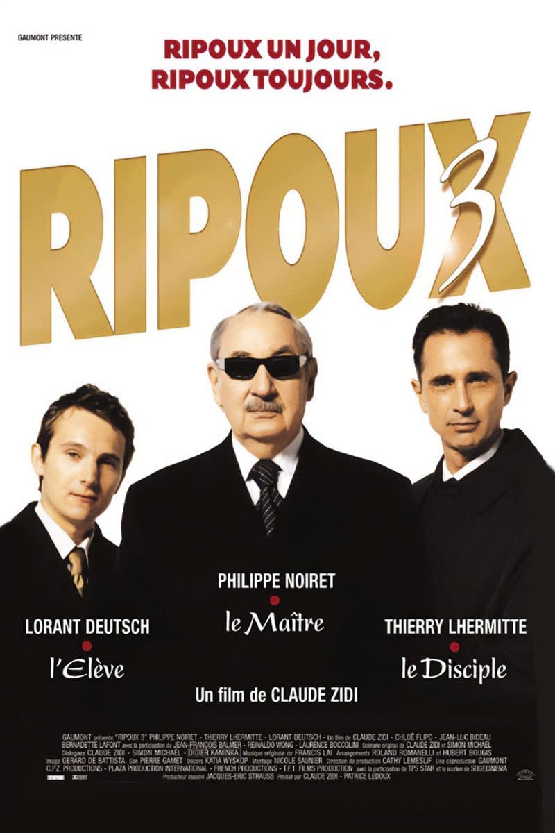 Poster My New Partner III