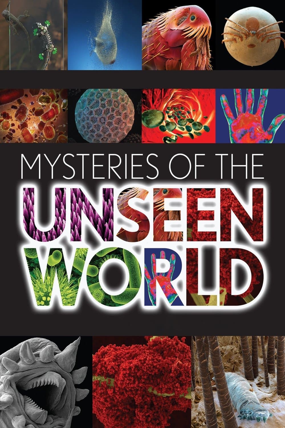 Poster Mysteries of the Unseen World