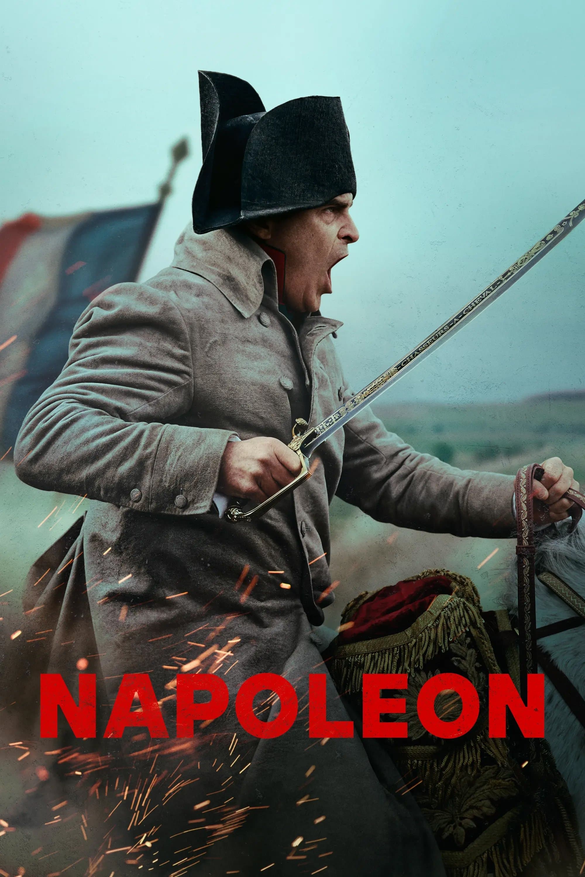 Poster Napoleon