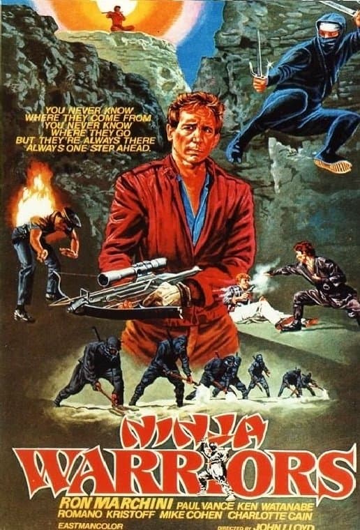 Poster Ninja Warriors