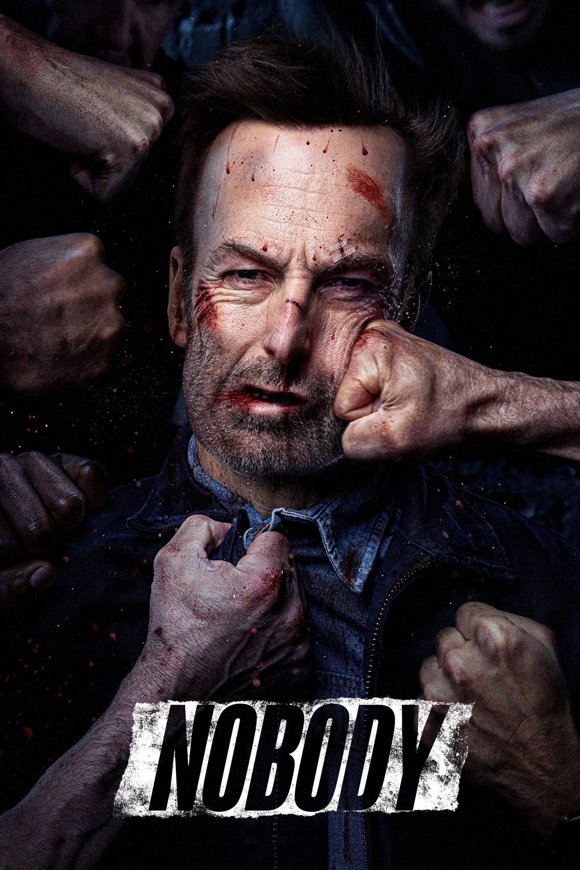 Poster Nobody
