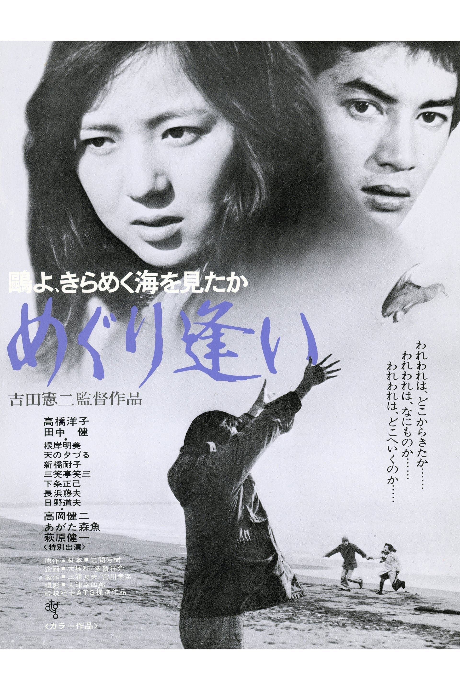 Poster Oh Seagull, Have You Seen the Sparkling Ocean? An Encounter