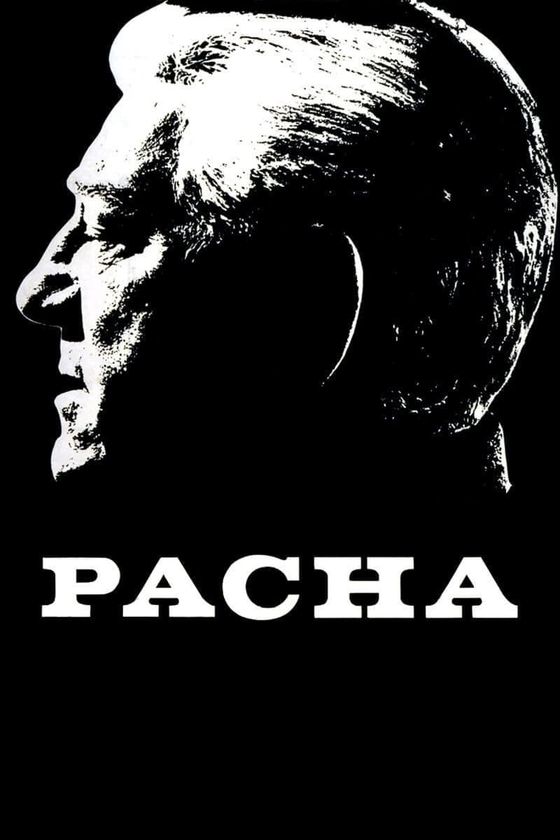 Poster Pasha