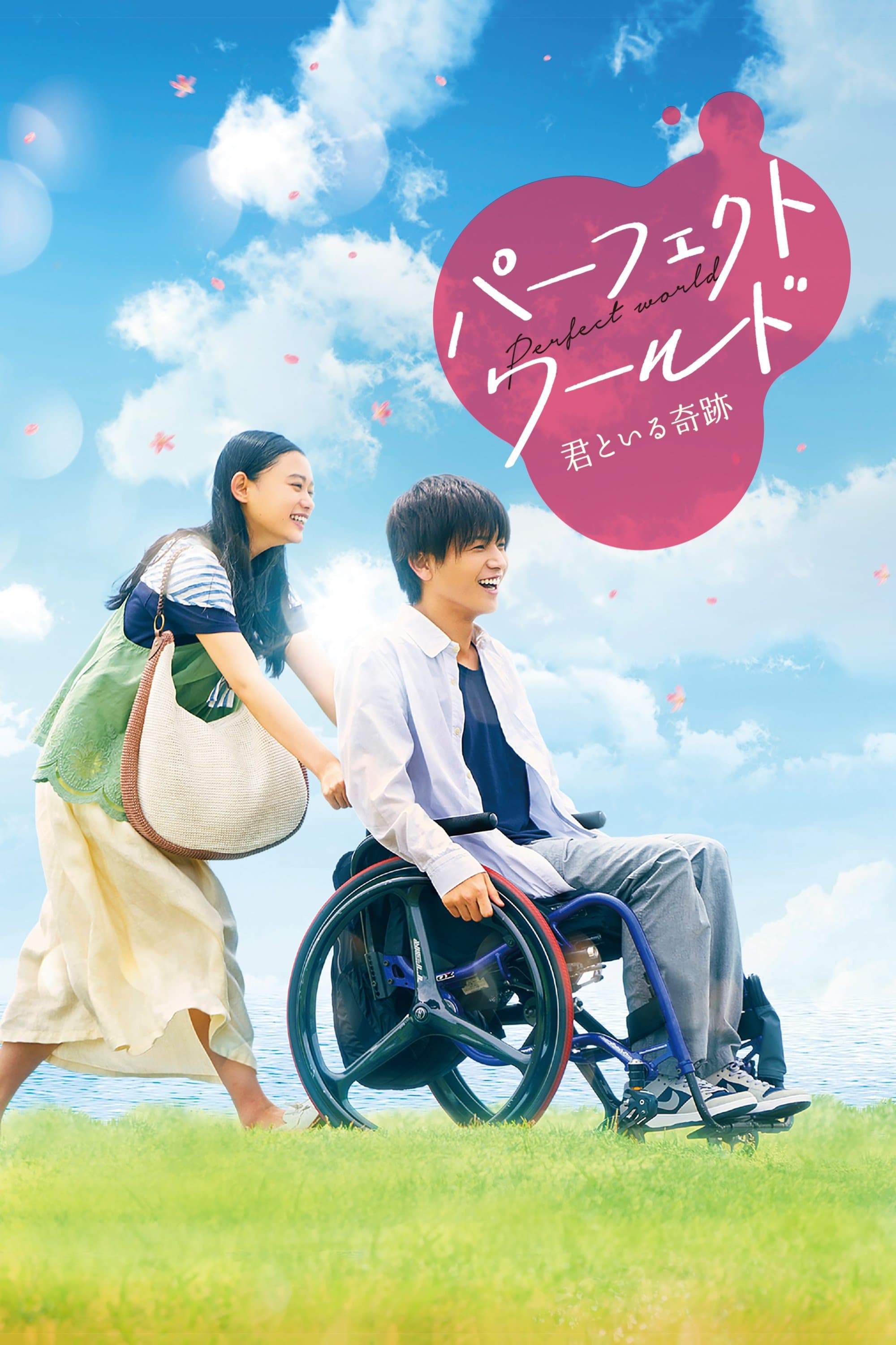 Poster Perfect World