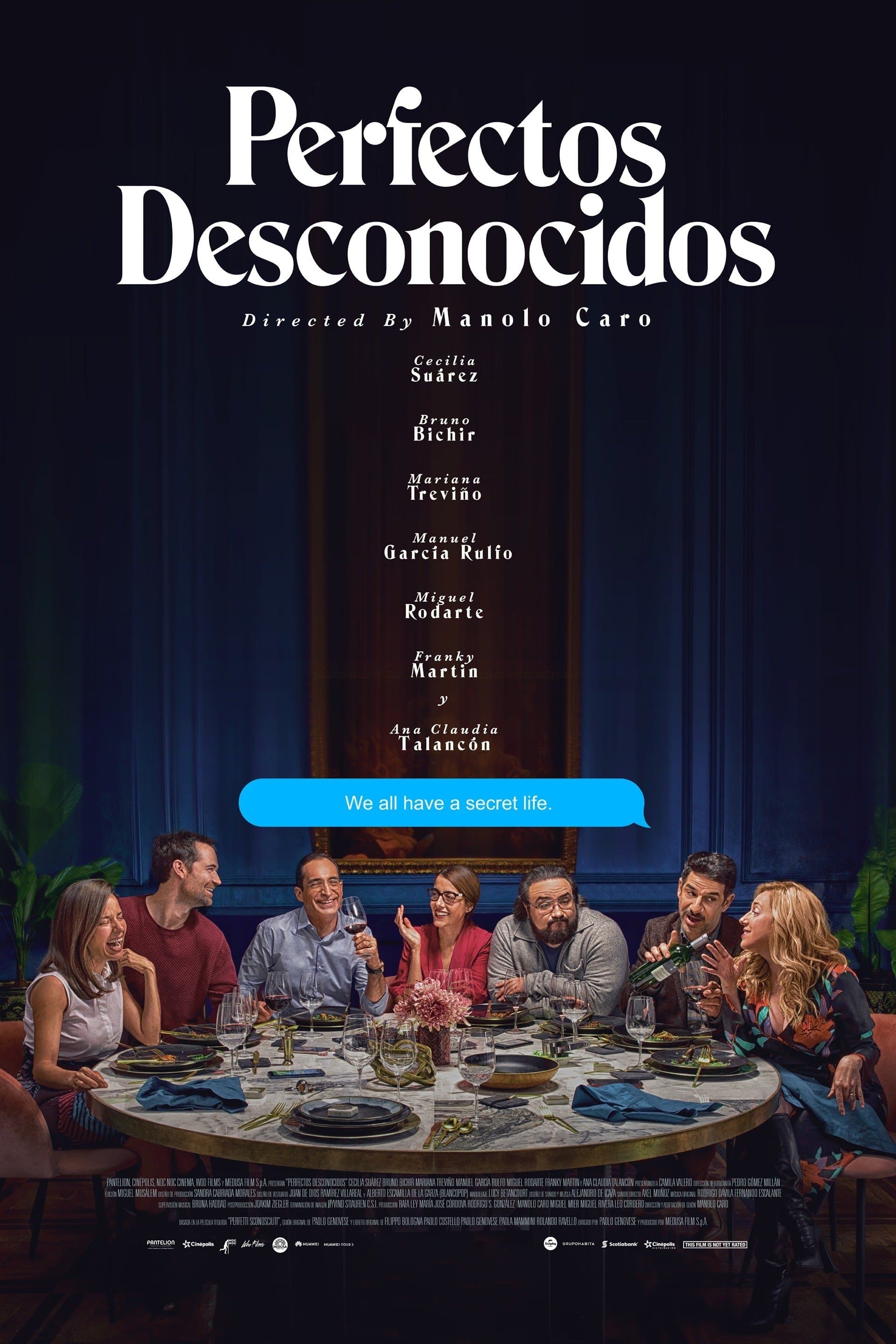 Poster Perfectos desconocidos
