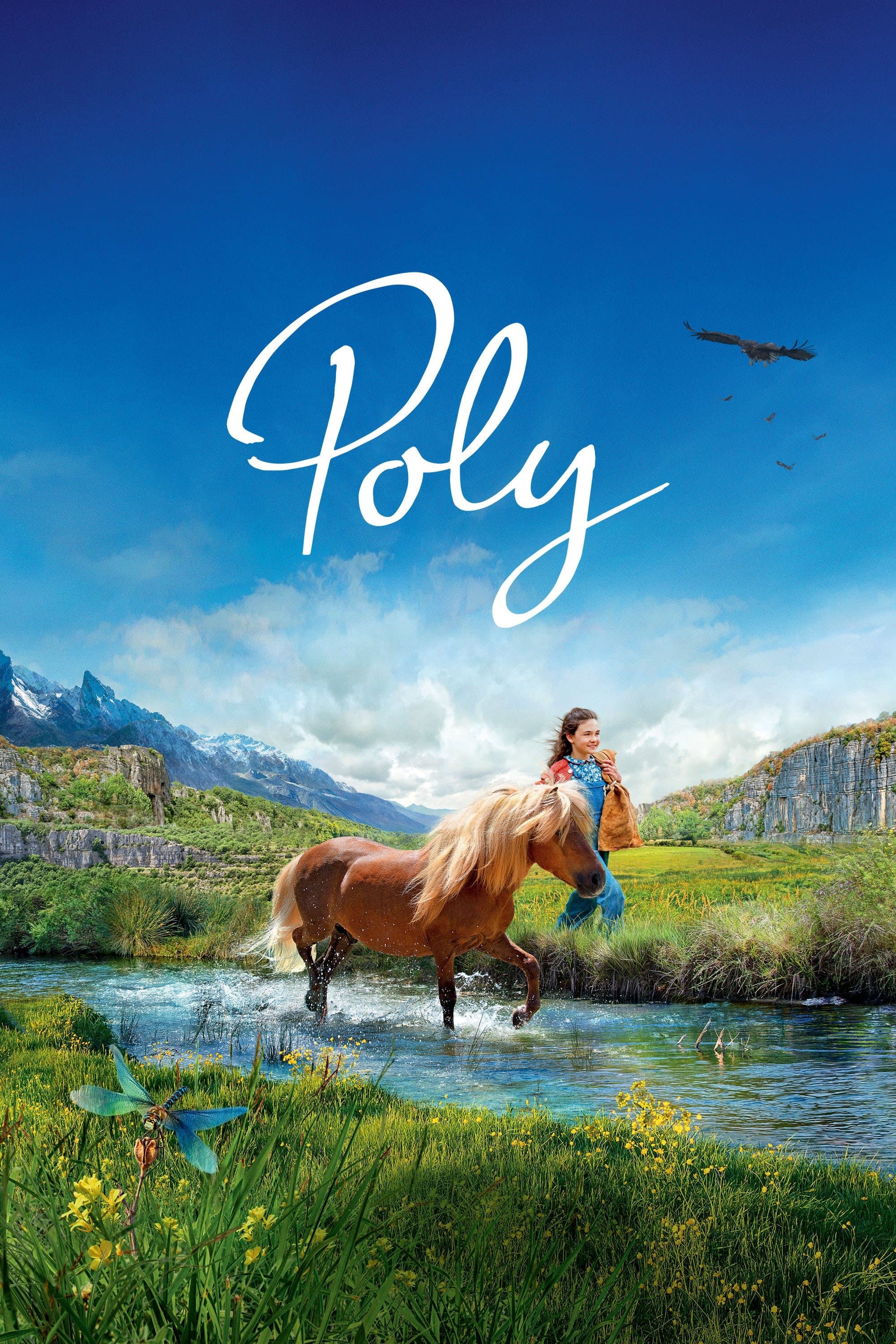 Poster Poly