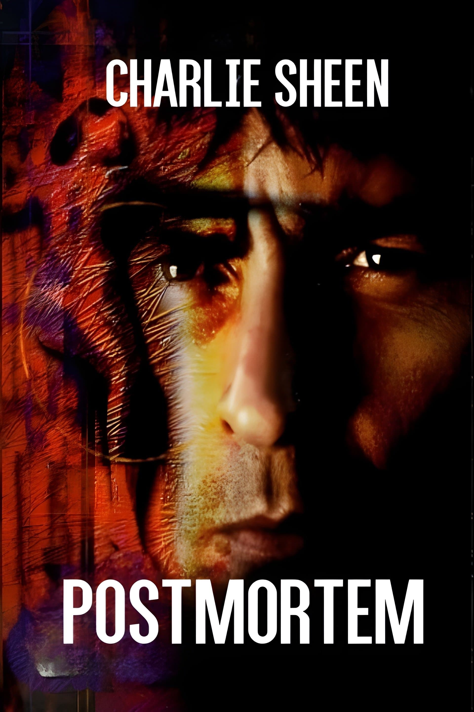 Poster Postmortem