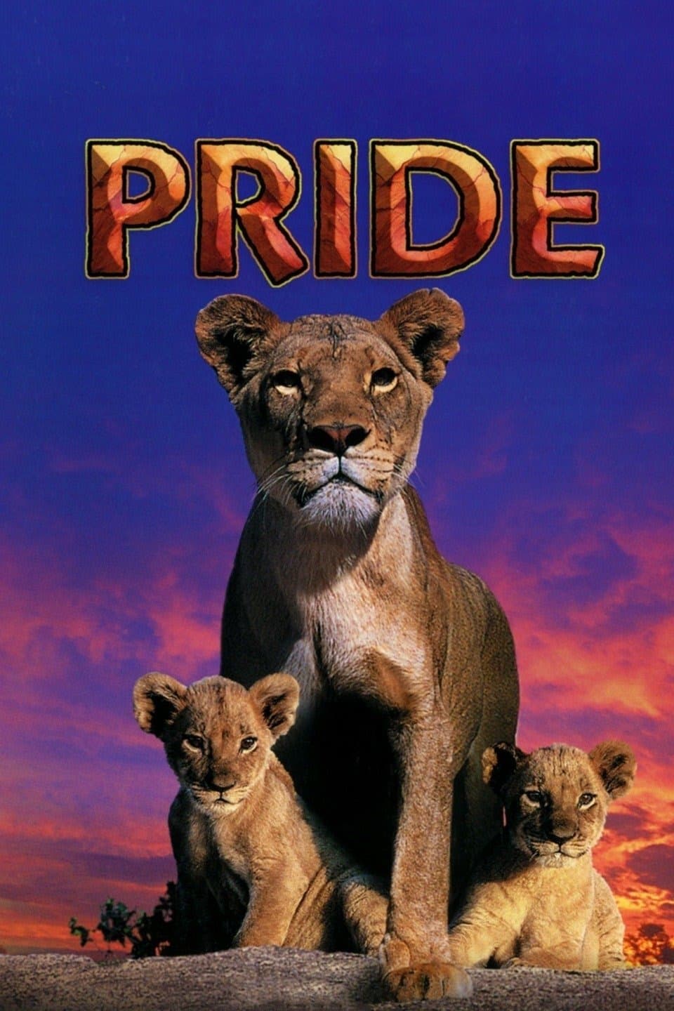 Poster Pride