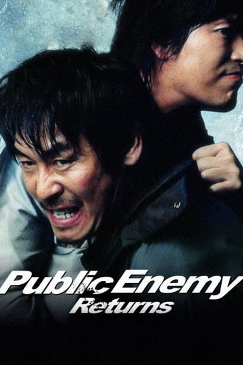 Poster Public Enemy Returns