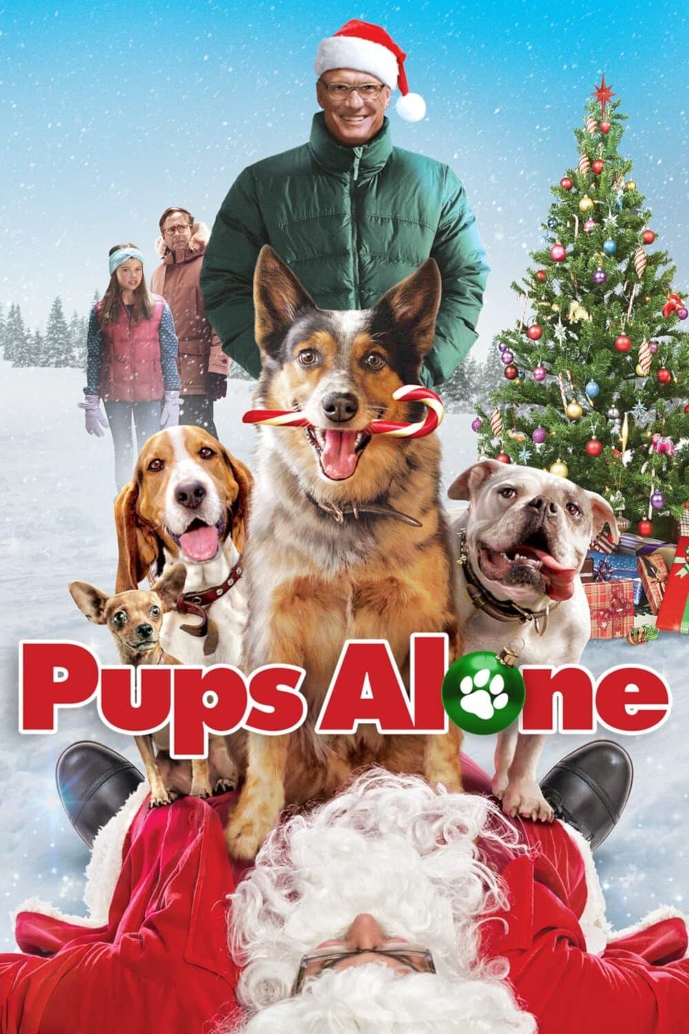 Poster Pups Alone