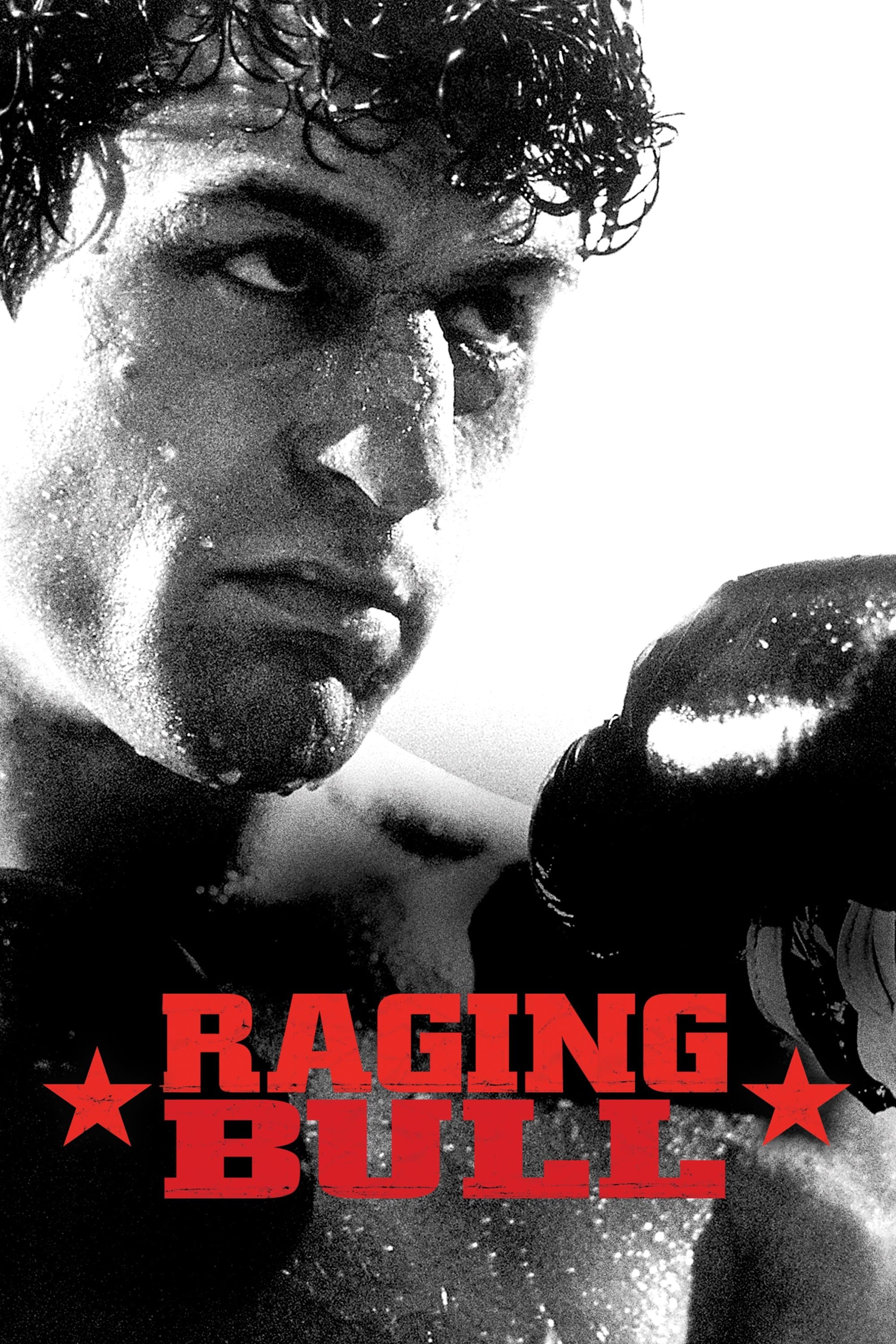 Poster Raging Bull